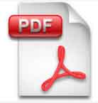 PDF Logo